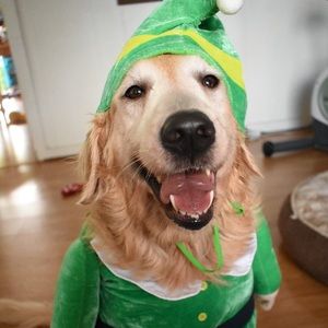 Meet your Posher, Tomoko